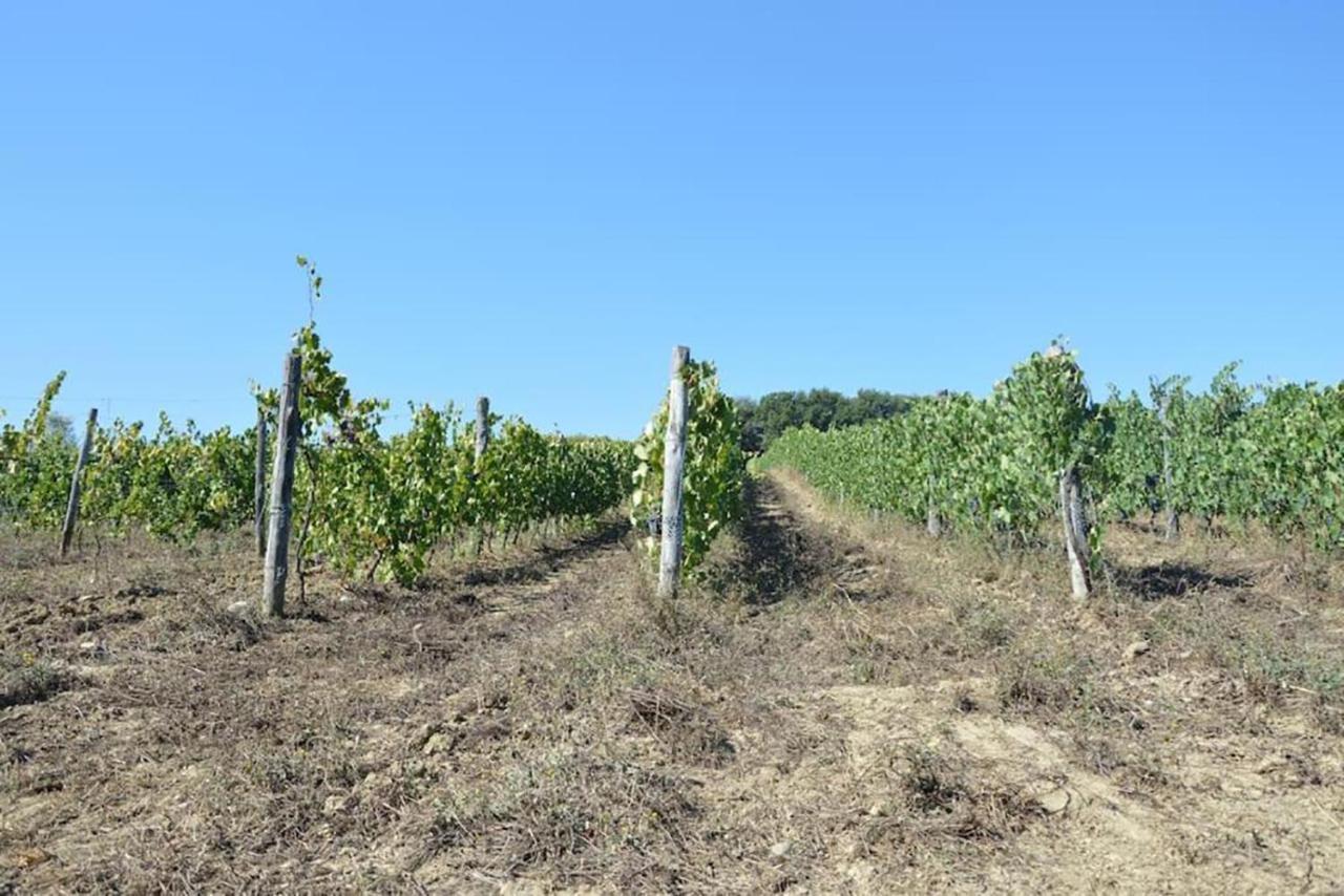 Agriturismo Fattoria Di Statiano ポマランチェ エクステリア 写真